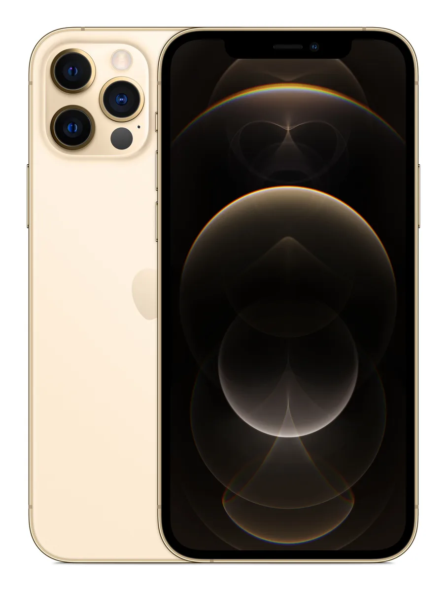 iPhone 12 Pro back view