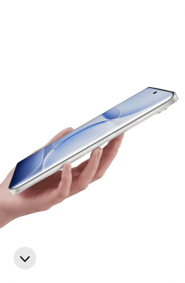 Vivo V80 Lite back view