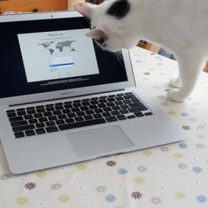 MacBook Air 13-inch Intel i7 256GB 8 MacBook Air 13 inch Intel i7 Var1 8 Syed Non Custom Smuggled Mobiles