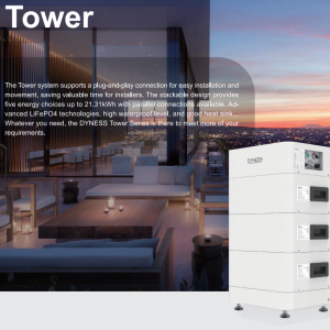 Dyness ESS Wall 20kWh Battery 3 Dyness ESS Wall 20kWh 3 Syed Non Custom Smuggled Mobiles 1