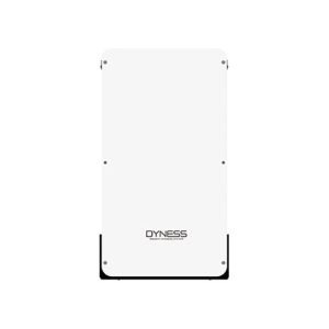 Dyness MF Lithium 200Ah 2 Syed Non Custom Smuggled Mobiles 1