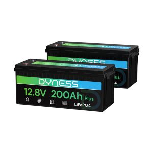 Dyness MF Lithium 200Ah Syed Non Custom Smuggled Mobiles 1